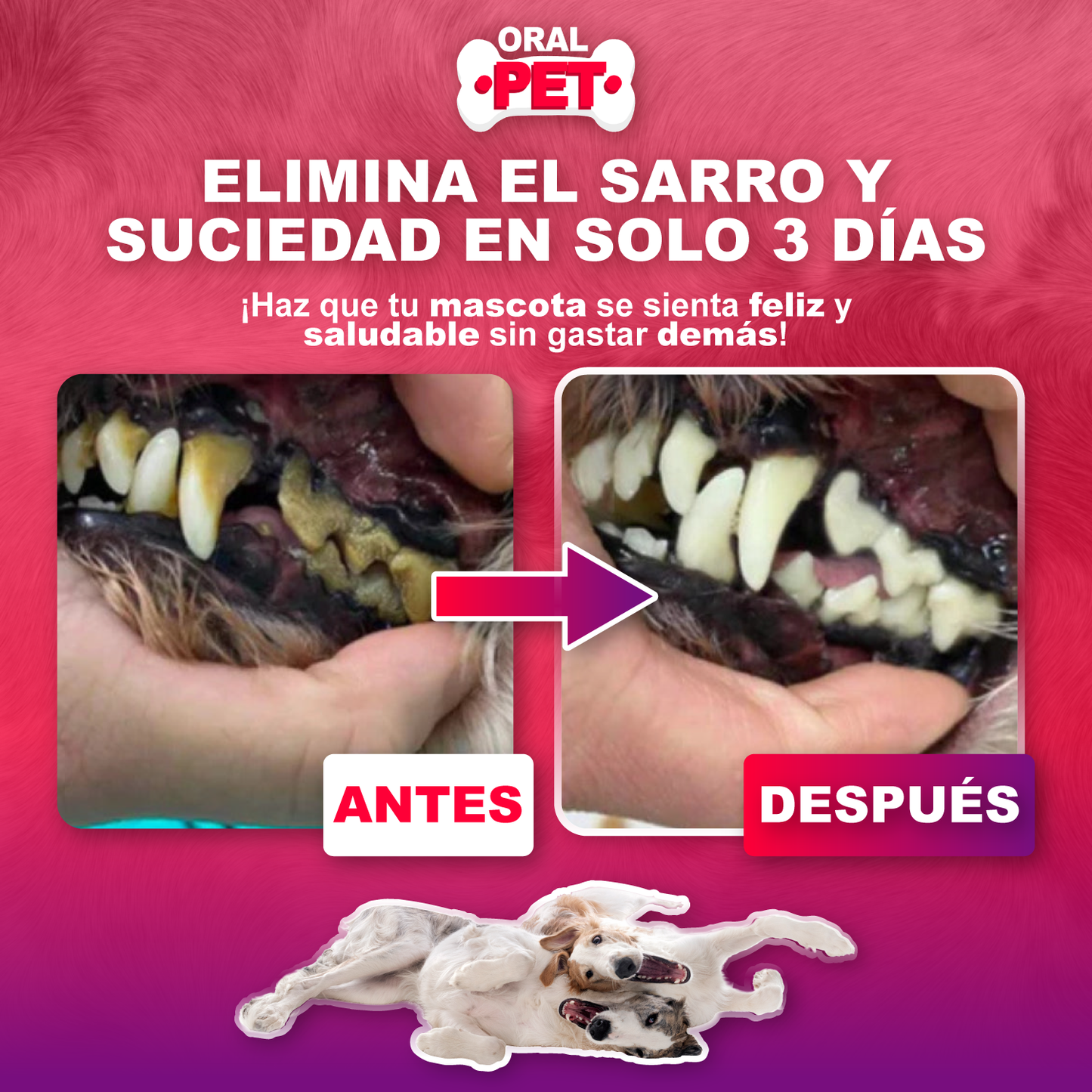 Spray Bucal para Mascotas | Elimina el Mal Aliento sin Cepillado
