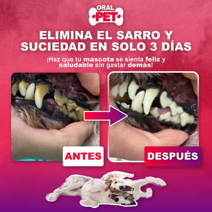 Spray Bucal para Mascotas | Elimina el Mal Aliento sin Cepillado